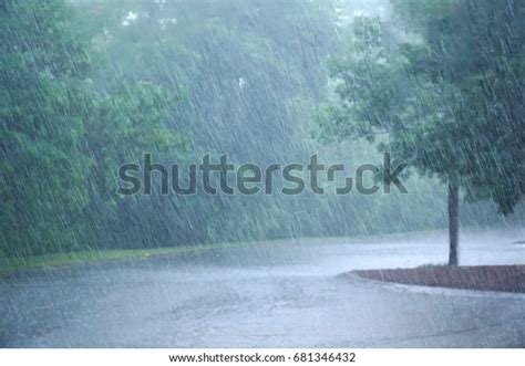 Rain Nature: Over 2,193,782 Royalty-Free Licensable Stock Photos | Shutterstock