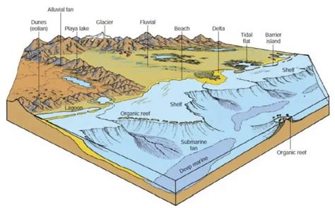 Depositional environments of sedimentary rocks - Hamed-Geo