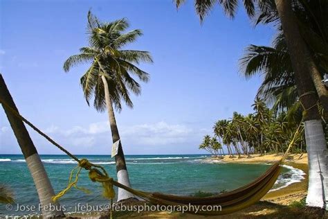 Beach in Patillas Puerto Rico | Puerto rico island, Puerto rico, Beautiful islands