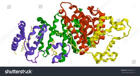 89 Albumin Molecule Images, Stock Photos & Vectors | Shutterstock