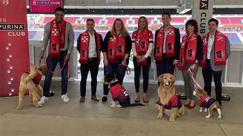 Dog-friendly area opens at St. Louis CITY SC's stadium | ksdk.com