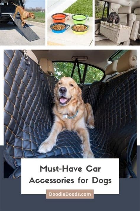 Must-Have Dog Car Accessories For Every Dog Owner