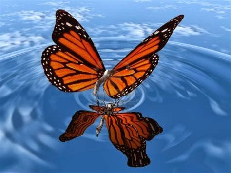 Free download Free live butterfly wallpaper beautiful desktop wallpapers 2014 [1200x900] for ...