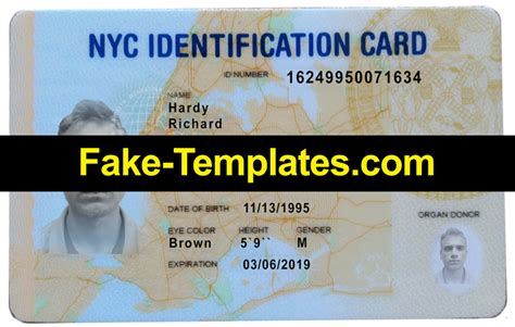 New York ID Card PSD Template 2024