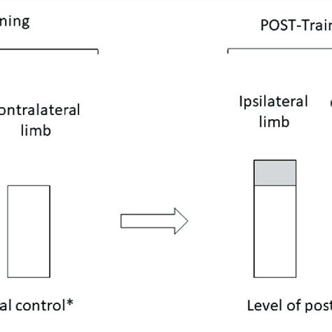 Effects of the ipsilateral limb training on the ipsilateral and/or ...