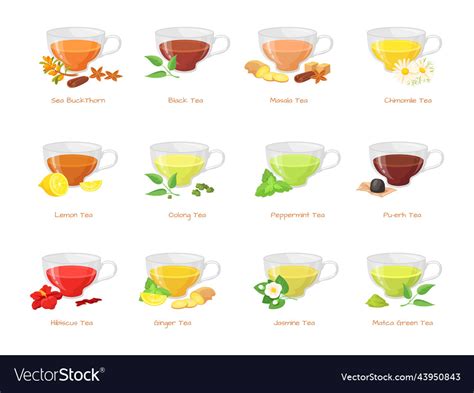 What Are The Best Types Of Tea at Robin Chronister blog