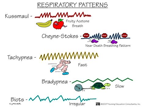 Respiratory+Patterns.jpg 1.600×1.200 píxeles (con imágenes) | Terapia respiratoria, Urgencias ...