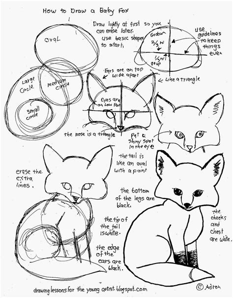 How to Draw Worksheets for The Young Artist: How To Draw A Baby Fox Worksheet. Free Printable