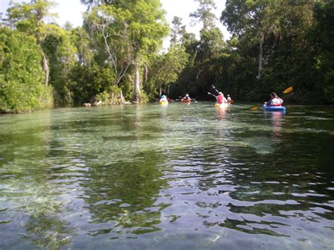 Kayaking Down the Weeki Wachee River