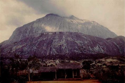 Dedza Mountain Forest Reserve