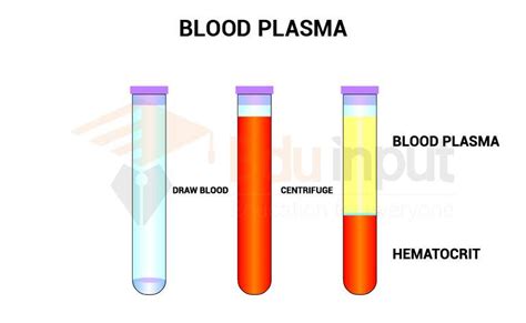 Blood Plasma-Features and its Composition