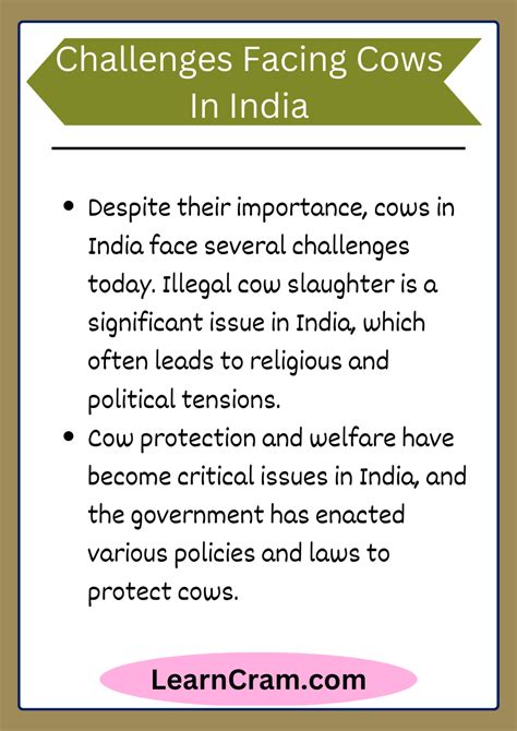 Cow Paragraph: The Importance Of Cows In Indian Culture And Agriculture ...