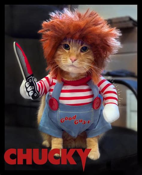 Chucky | Chucky, Cat costumes, Chucky doll