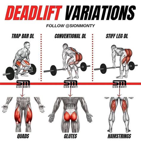 DEADLIFT VARIATIONS by @tips.4health - 🗯What is your favourite deadlift ...