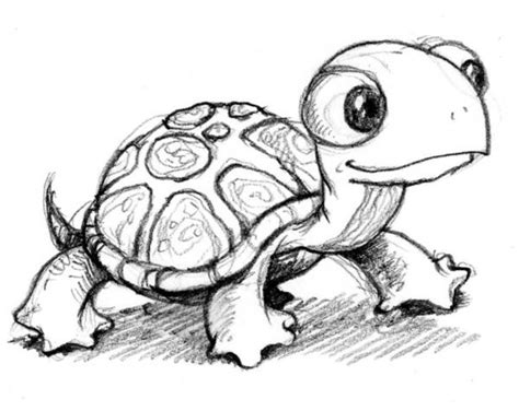 40 Cute Simple Drawings To Practice - Bored Art | Sketches, Turtle drawing, Turtle sketch