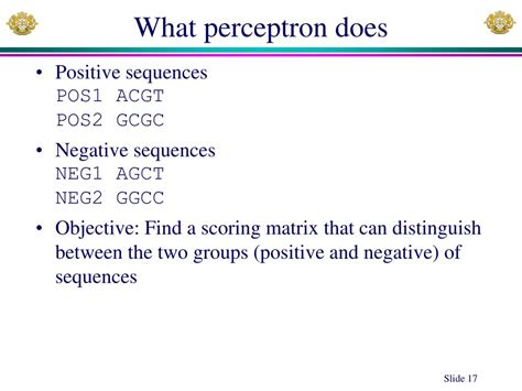 PPT - Position weight matrix (PWM), Perceptron and their applications PowerPoint Presentation ...