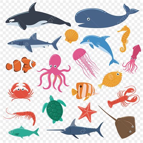 Cartoon Sea Animals Transparent Background / Transparent black ...