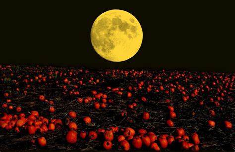 Harvest Moon by Bob Peschka Harvest Moon, Fall Harvest, Autumn, Fields ...