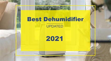 10 Best Dehumidifier (Jun 2021 Updated) | Reliable & Long Lasting