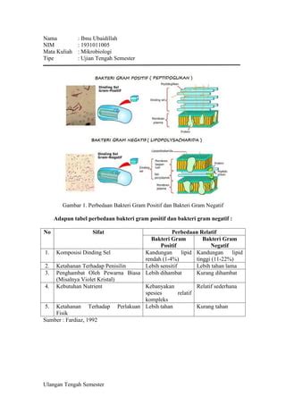 Bakteri Gram Positif dan Negatif - Ibnu Ubaidillah.pdf