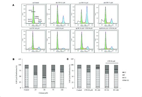 | Cell cycle analysis using propidium iodide (PI) staining and flow ...