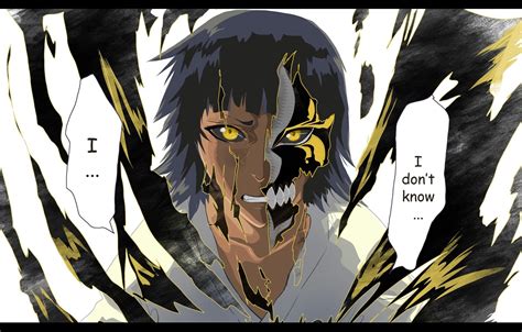 Soi Fon in Hollow Form bleach | Блич, Аниме блич, Иллюстрации