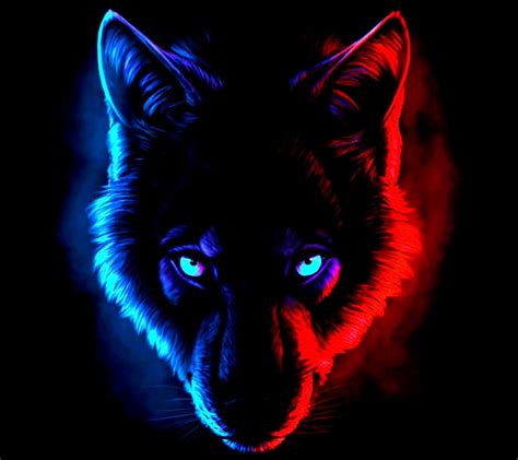 Black Anime Wolf Wallpapers - Top Free Black Anime Wolf Backgrounds - WallpaperAccess