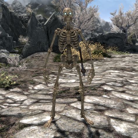 Skyrim:Conjure Skeleton Minion - The Unofficial Elder Scrolls Pages (UESP)