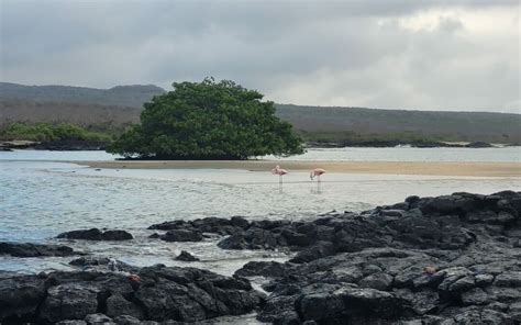 Galapagos Islands Luxury Tours: Night Wildlife & Stargazing