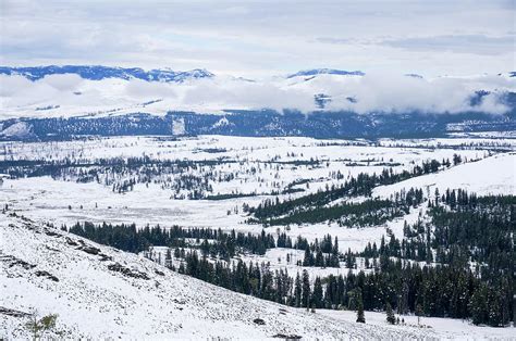 Snow in Yellowstone Photograph by Matariki Studio - Fine Art America