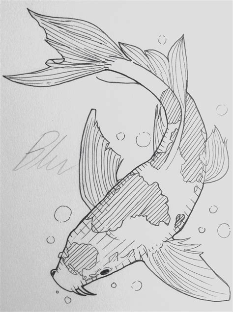 koi fish | Tumblr | Koi art, Fish drawings, Koi fish drawing