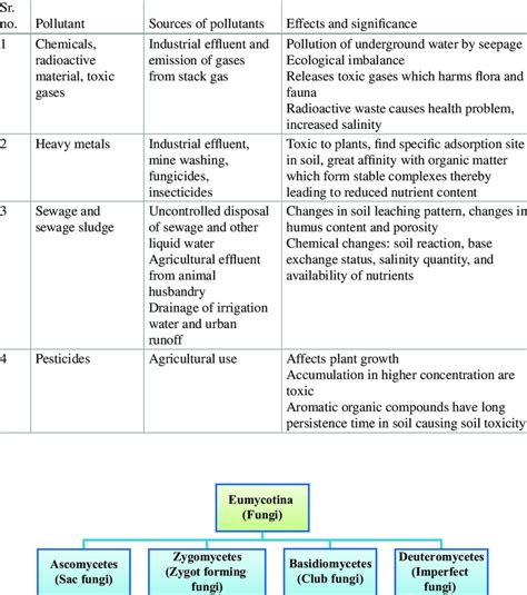 3 Types of soil pollutants, their sources, and effects (According to... | Download Table