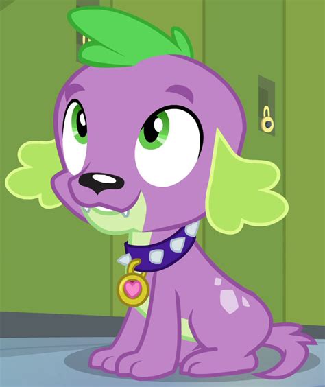 Spike (EG) | My Little Pony Friendship is Magic Wiki | Fandom powered ...