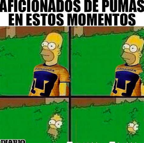 Memes por la final de Pumas-Tigres - Chilango