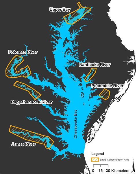 Bald Eagle Concentration Areas in the Chesapeake Bay - The Center for Conservation Biology