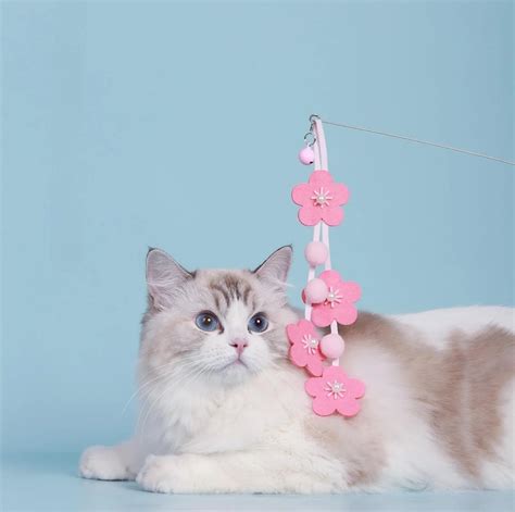 Cat Toys with Bells - pet toys