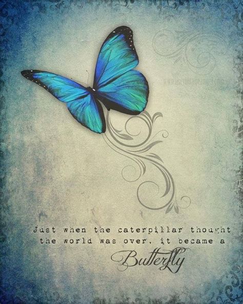 Morpho Butterfly, Butterfly Drawing, Butterfly Wallpaper, Blue ...