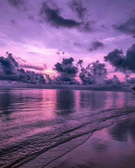 Pin by tranthioanh_04 on P u r p l e | Purple beach, Sky aesthetic, Purple aesthetic