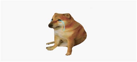 #sad #cheems #doge #meme #dogememe, HD Png Download , Transparent Png Image - PNGitem