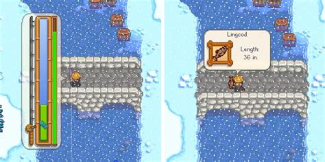 How To Find (& Catch) Lingcod In Stardew Valley