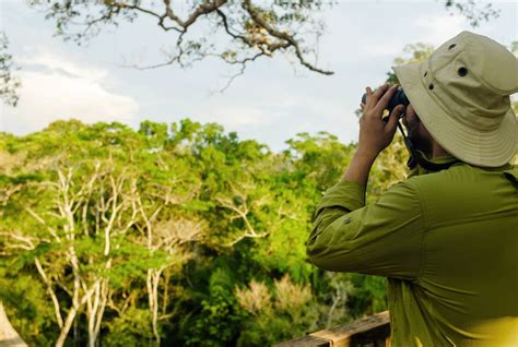 Amazon Rainforest Tours | Travel Blog | Cusco Peru Travel