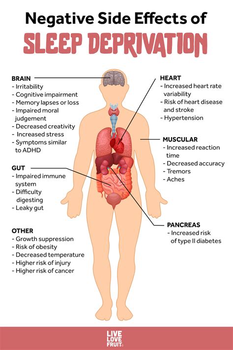 Sleep Deprivation Effects On The Brain