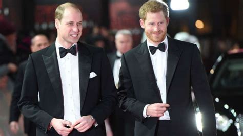 Prince Harry, Prince William to reunite at Princess Diana memorial ...