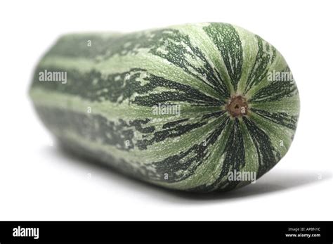 Marrow Vegetable Marrow Stock Photo - Alamy