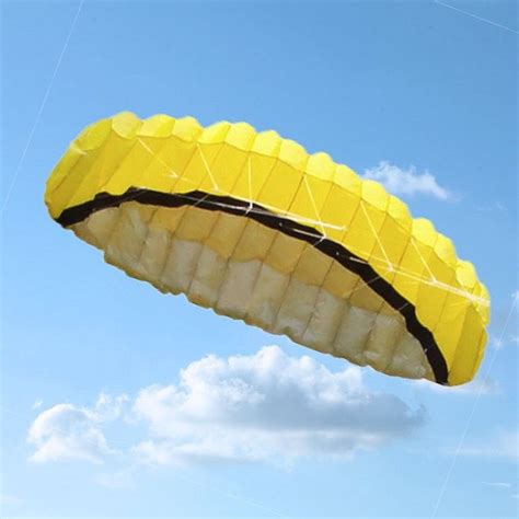 Parafoil dual kite - Amazing Products