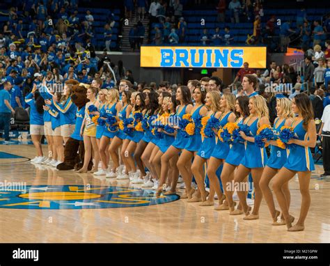 Los Angeles, CA, USA. 03rd Feb, 2018. The UCLA dance team gets ready to ...