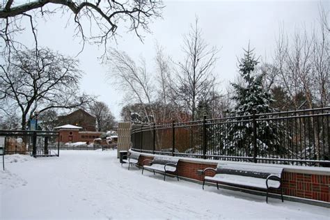 Lincoln Park with Snow at Winter Stock Image - Image of lakeview, winter: 41836865