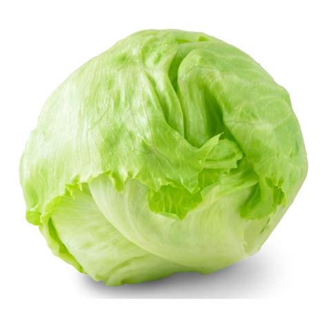 Iceberg Lettuce - 500gr - Vivre Gourmet