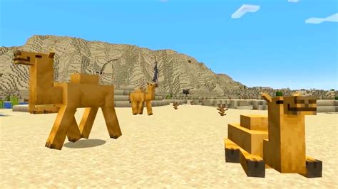 How to tame a Minecraft camel – Slotofworld