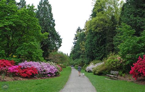 Washington Park Arboretum | A Unique Experience in Seattle | Seattle ...